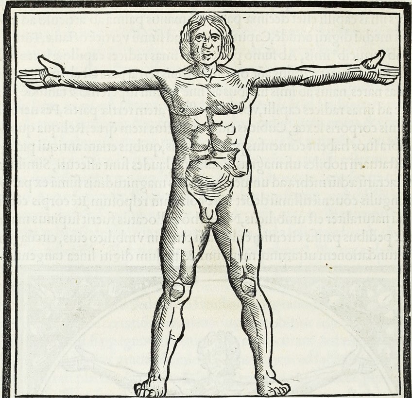 Facts About the Vitruvian Physique