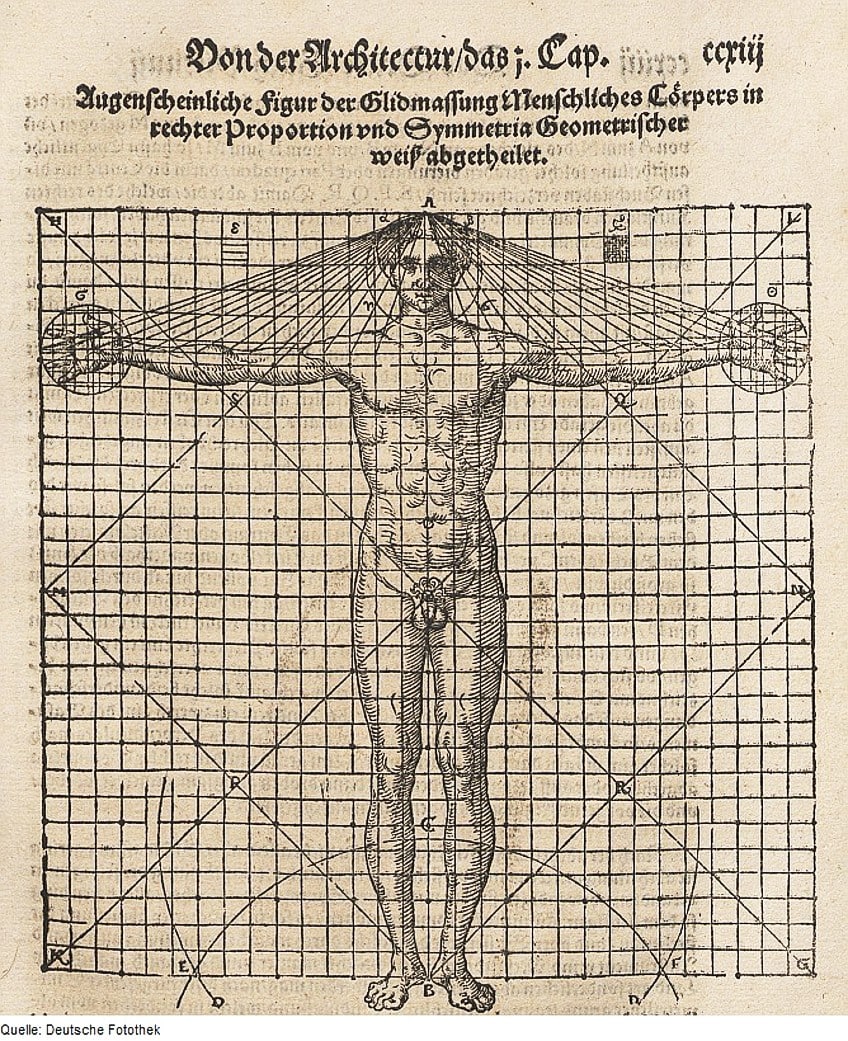 Vitruvian Man Measurements