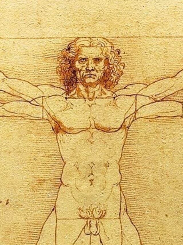 The Vitruvian Man by Da Vinci