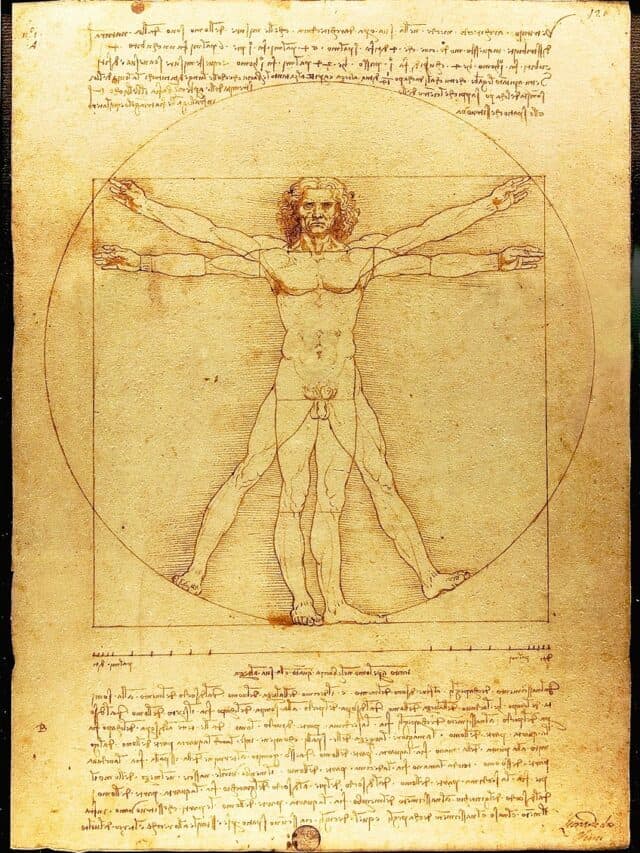 Vitruvian Man – Everything You Need to Know!