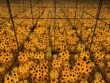 Repetition in Art - What Is Repetition in Art and How to Find It?
