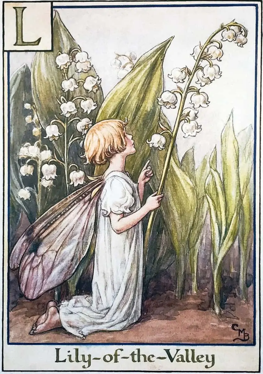 Beautiful Fairy Illustration