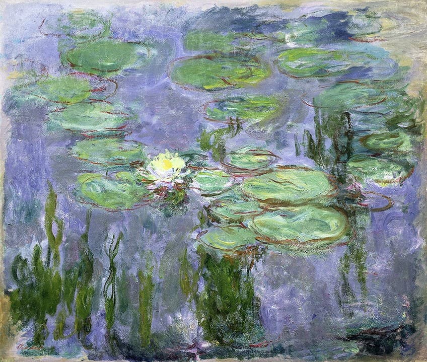 How Many Water Lilies Did Monet Paint