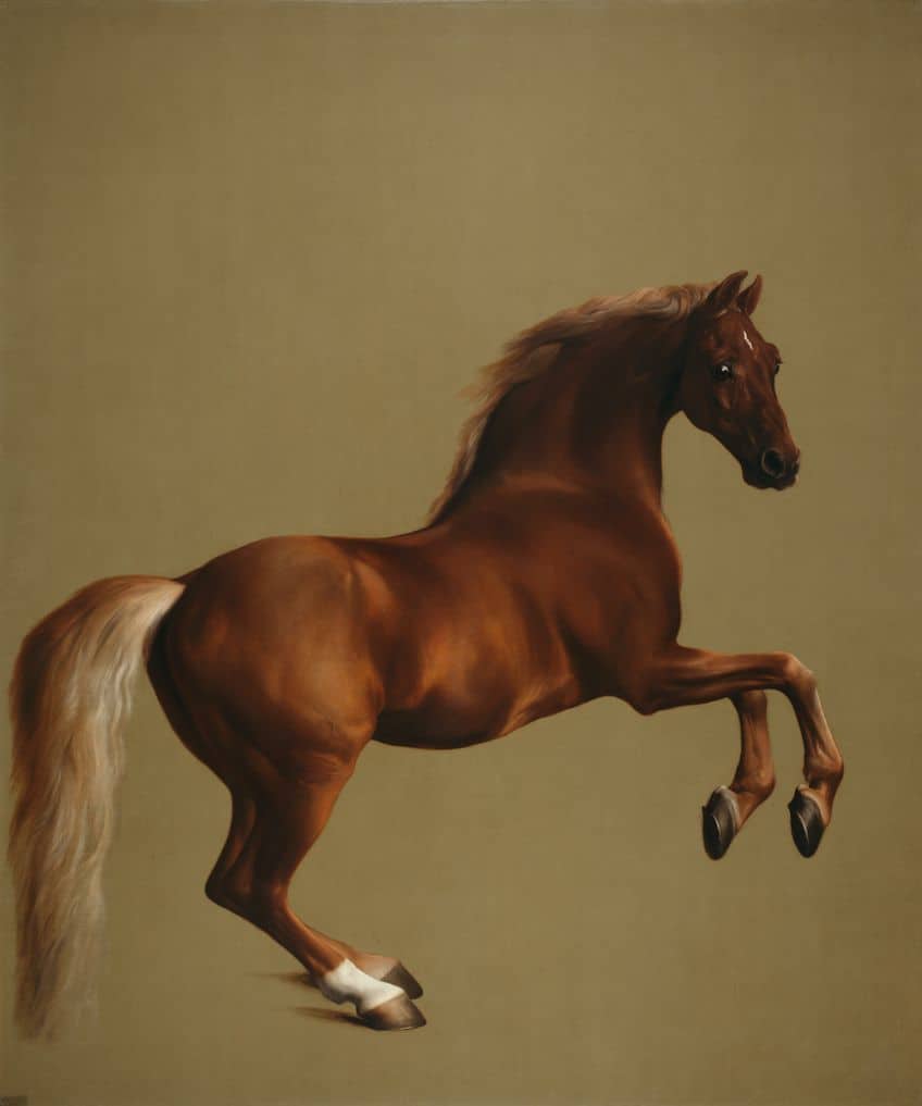 Horses in Art