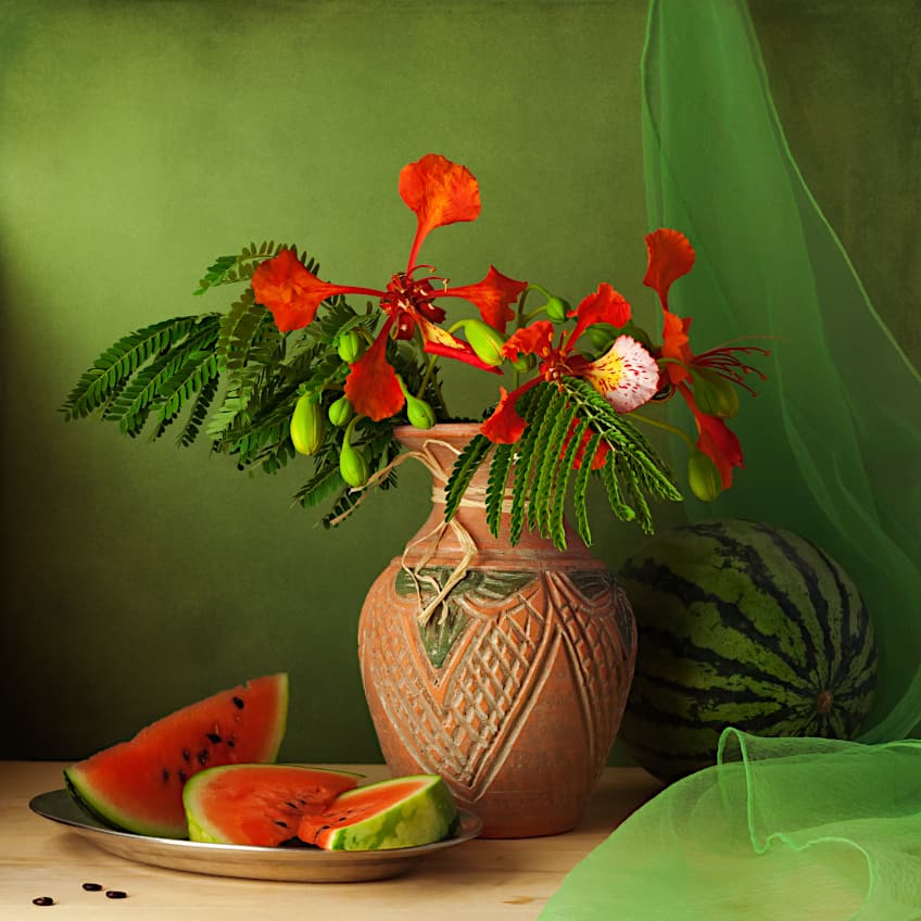 Photographic Still-Life Arrangement