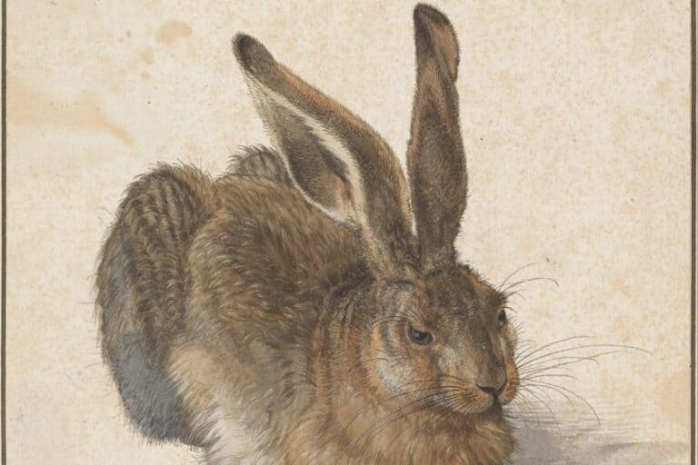 “Young Hare” by Albrecht Dürer – Dürer’s Rabbit Analysis