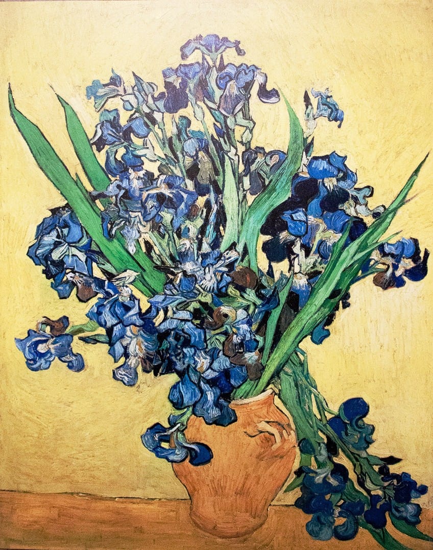 Floral Paintings to Know