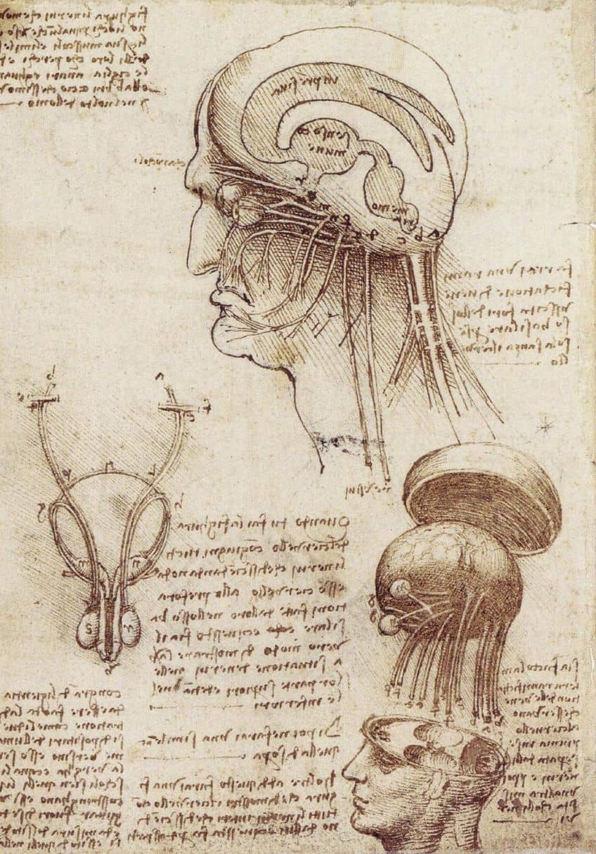 How Did Leonardo da Vinci Die