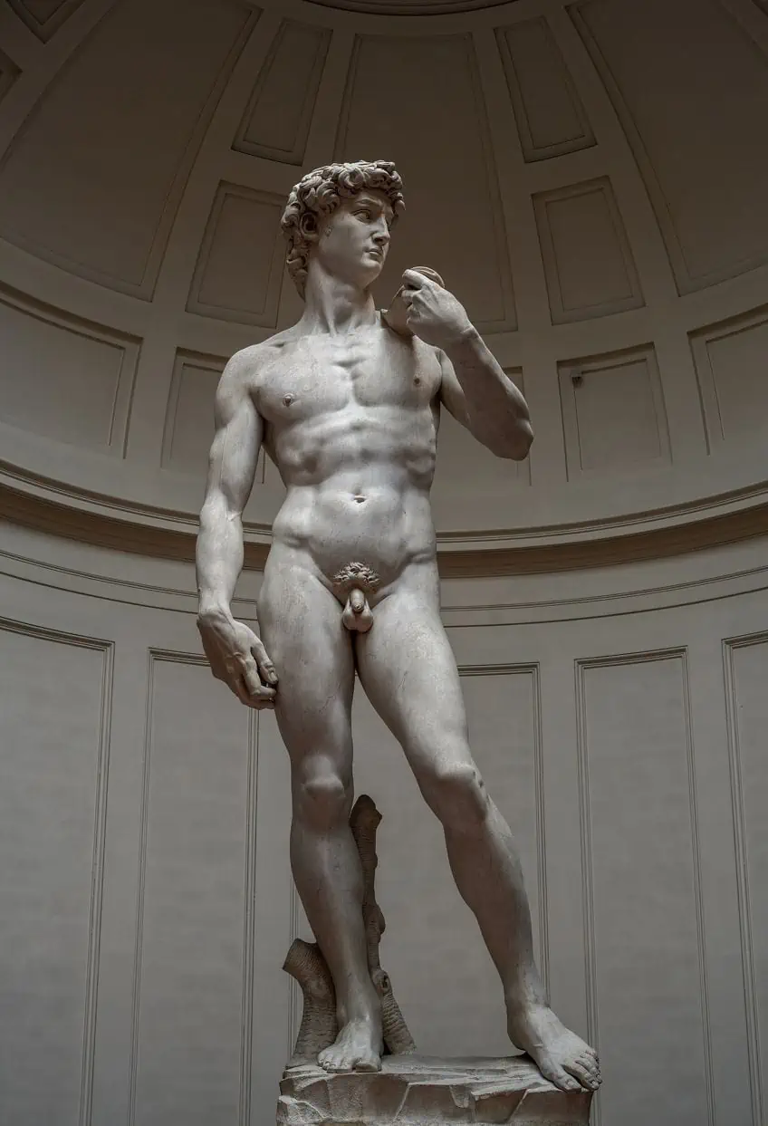 The Sculpture of David