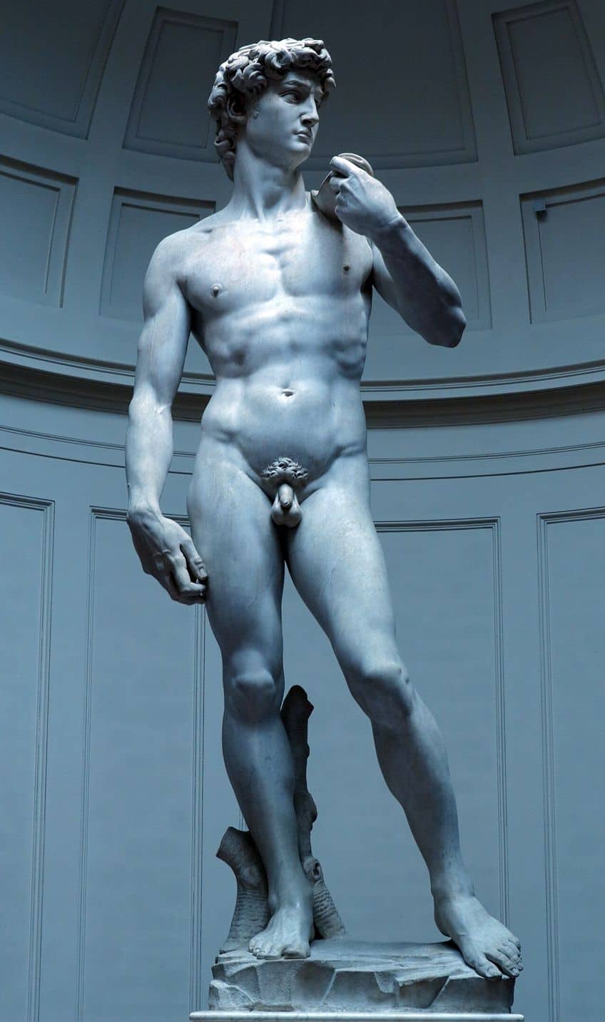 New Michelangelo Facts