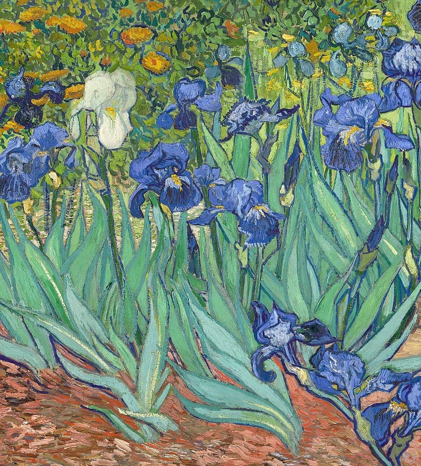 Brushwork in the Irises Painting