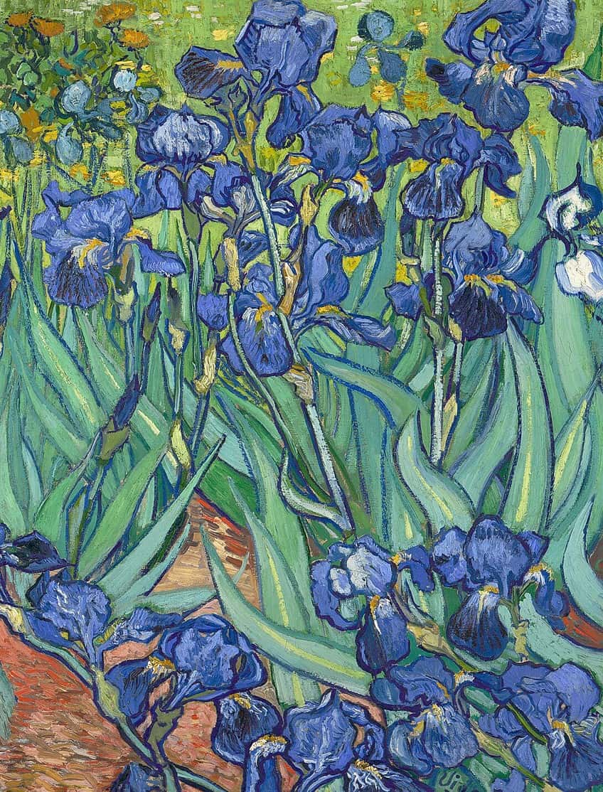Color in the Irises Painting