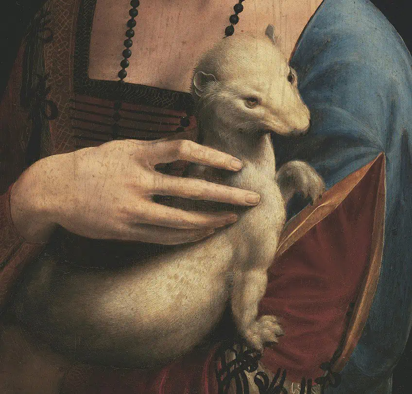 Ermine in the Lady Holding a Ferret Painting
