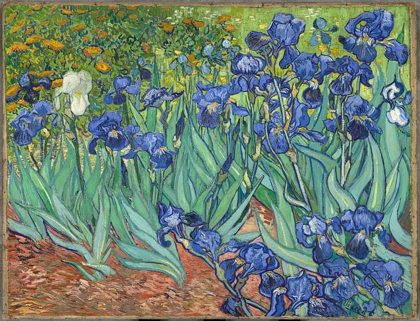 Famous Irises Painting
