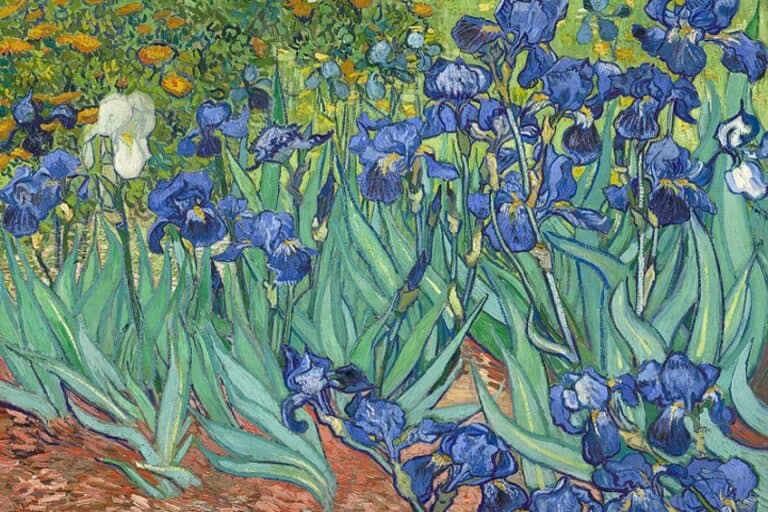 “Irises” by Vincent van Gogh – Study the Famous Flowers