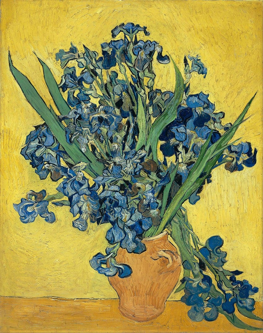 Other Irises Painting