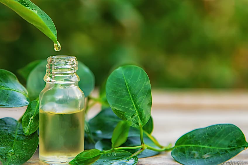 Tea Tree Oil Cleans Marker Ink