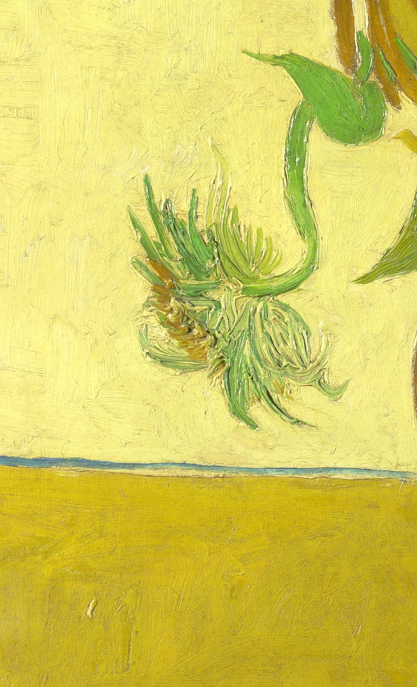 Texture in Sunflowers by Van Gogh