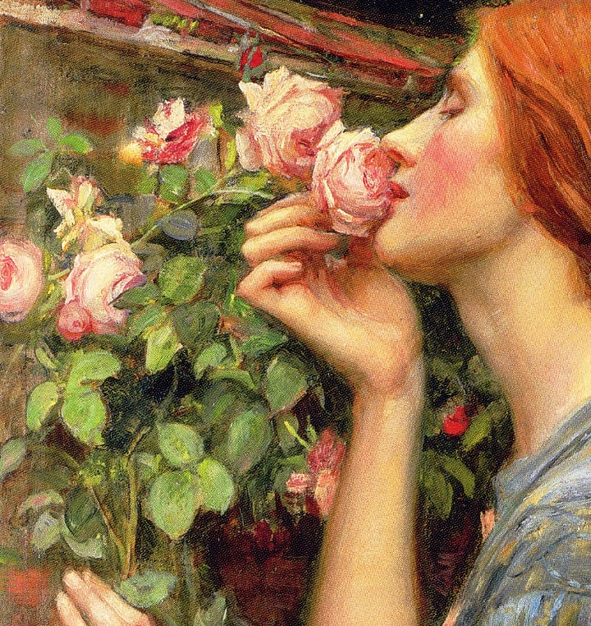 Themes in The Soul of the Rose by John William Waterhouse