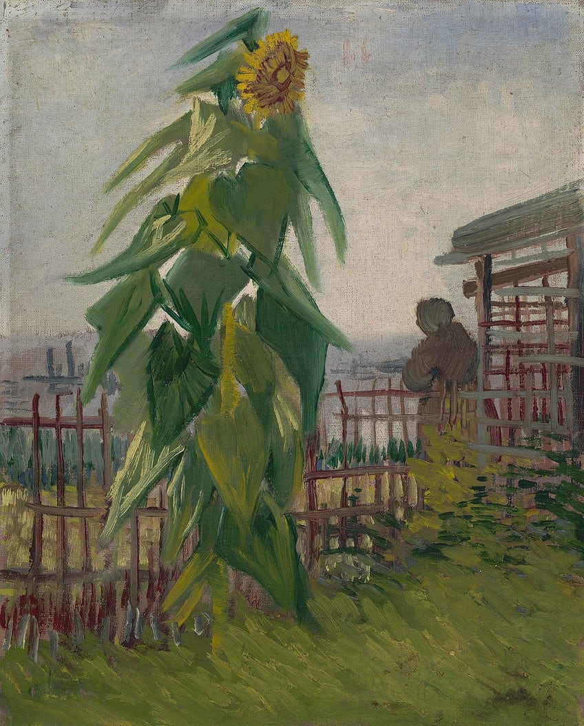 Van Gogh Flower Paintings